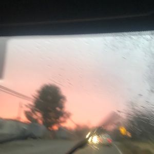 Meet your Posher, Dalila